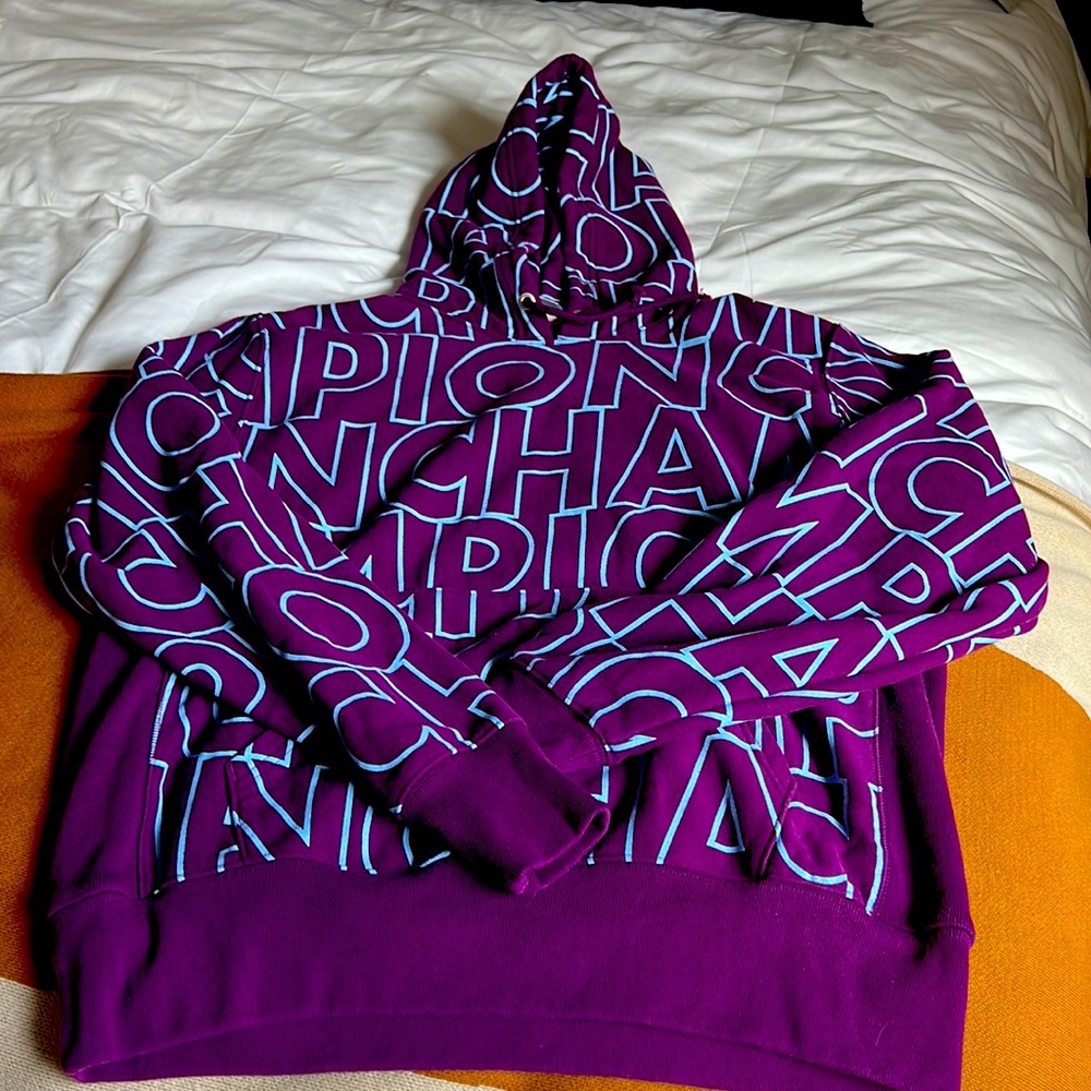 Champion purple& baby blue sweatshirt -Large NWOT